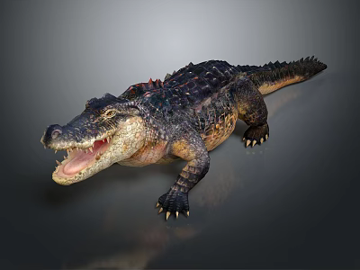 Realistic Aquatic Crocodile Lying with Open Mouth Sharp Claws and Dark Scales 3d model
