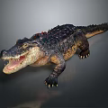 Modern crocodile Nile crocodile carnivore 3d model