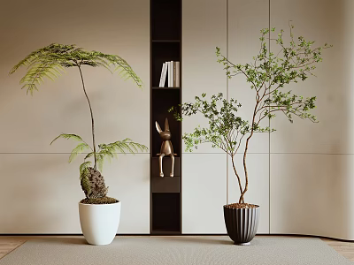 Indoor Bonsai Potted Plants In White Black Planters With Bookshelf And Decor 3d model