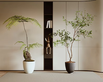 Indoor Bonsai Potted Plants In White Black Planters With Bookshelf And Decor 3d model