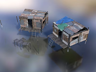 Shabby Stilt Houses With Different Colored Tin Roofs Built On Water And Wooden Ladders 3d model