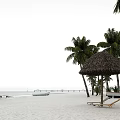 Tropical Garden Landscape With Thatched Umbrella Palm Trees Beach Boat And Pier