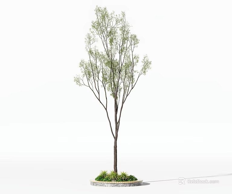 Tree Pit Featuring Single Tree With Green Leaves Brown Trunk And Circular Base 3d model