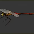 Red Dragonfly With White Wings And Yellow Eyes On Dark Background With Reflection