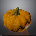 Orange Pumpkin Plant With Green Stem And Textured Surface On Dark Background