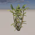 Lush Palm Shrub With Green Fronds Against Clear Blue Sky