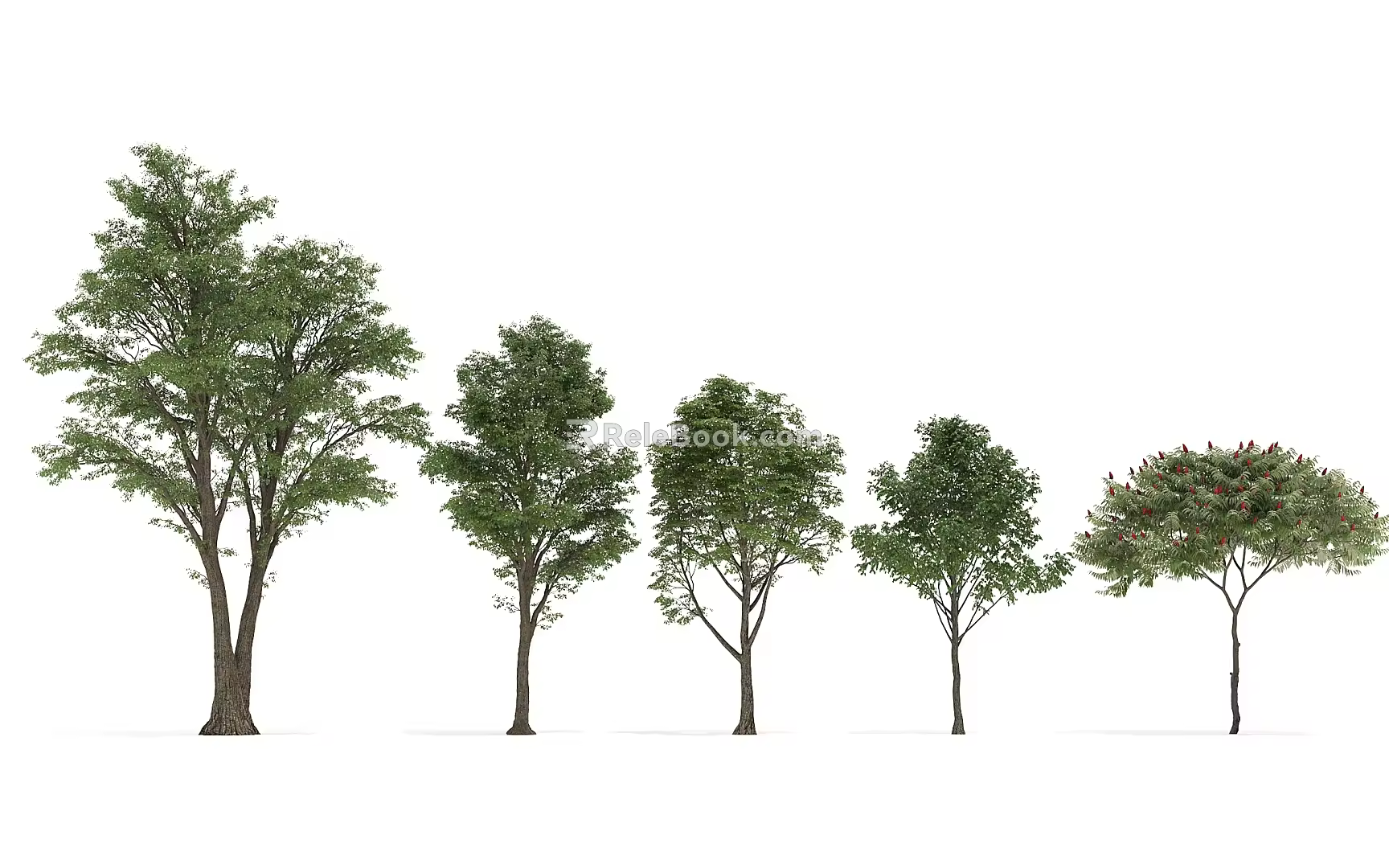 Trees Big Trees 3d model
