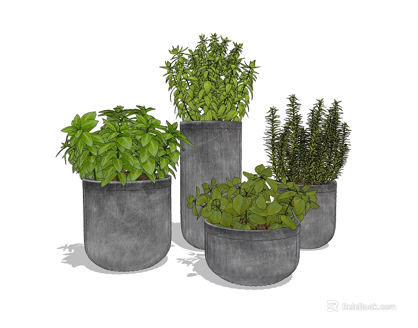 Various Green Herb Potted Plants in Gray Decorative Concrete Planters 3d model 