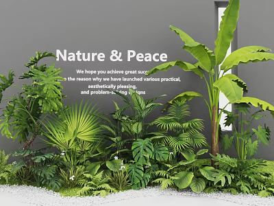 Indoor Tropical Plant Combination For Stylish Green Space With Nature And Peaceful Oasis 3d model