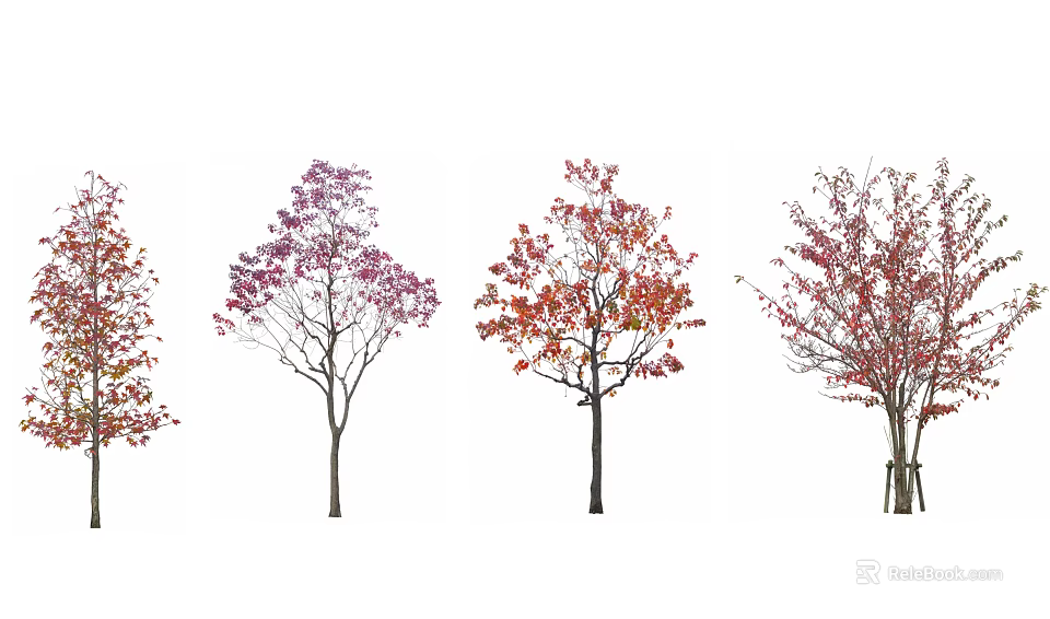 Colorful Trees With Purple Red Orange Leaves And Single Multiple Trunks 3d model