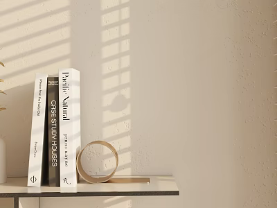 Modern ornaments combination 3d model Modern ornaments combination 3d model