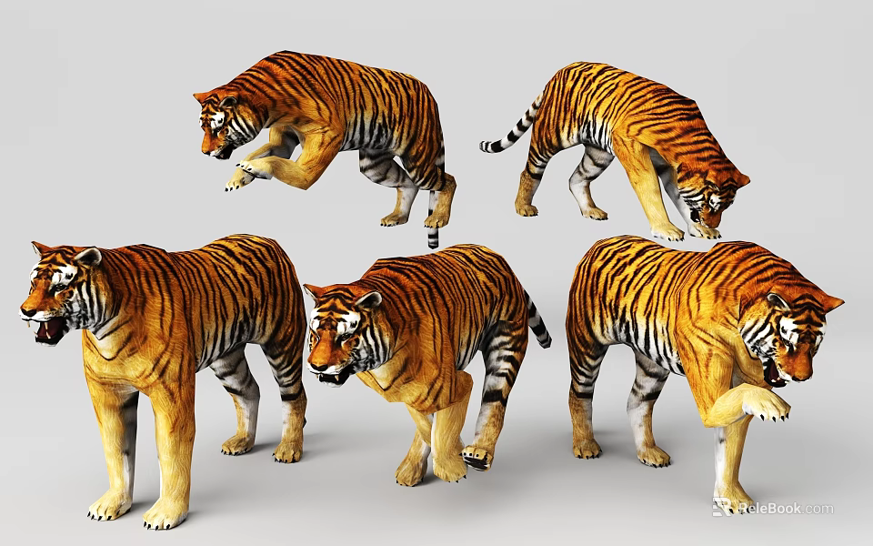 Realistic 3D Tiger Models With Various Poses 3d model