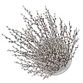 Transparent Glass Vases With Fresh Willow Branches And White Fluffy Catkins