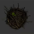 Natural Bird Nest Structure Made Of Twigs With Small Green Leaf On White Background