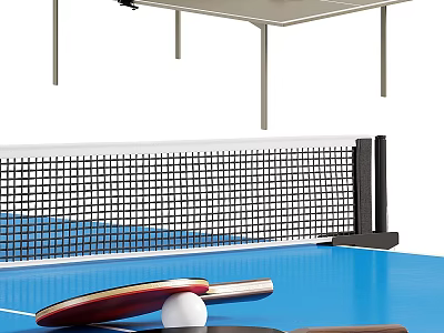 Professional Blue Table Tennis Table With Net Rackets And Ball Sports Equipment 3d model