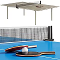 Professional Blue Table Tennis Table With Net Rackets And Ball Sports Equipment
