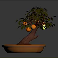 Potted Fruit Tree With Green And Orange Fruits In Orange Planter