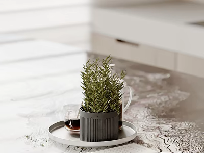 Decorative Ornament Set With Gray Flowerpot Green Plant Tray And Coffee Cup On Light Countertop 3d model