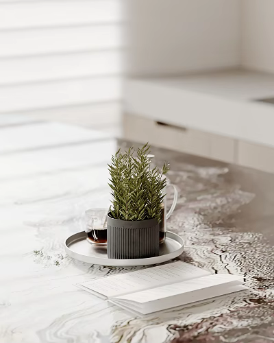Decorative Ornament Set With Gray Flowerpot Green Plant Tray And Coffee Cup On Light Countertop 3d model
