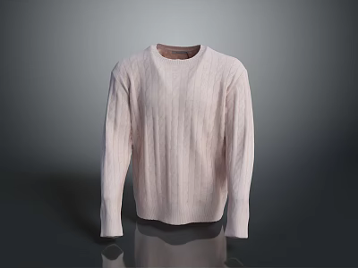 Light Pink Long Sleeved Sweater With Round Neck And Cable Knit Texture 3d model