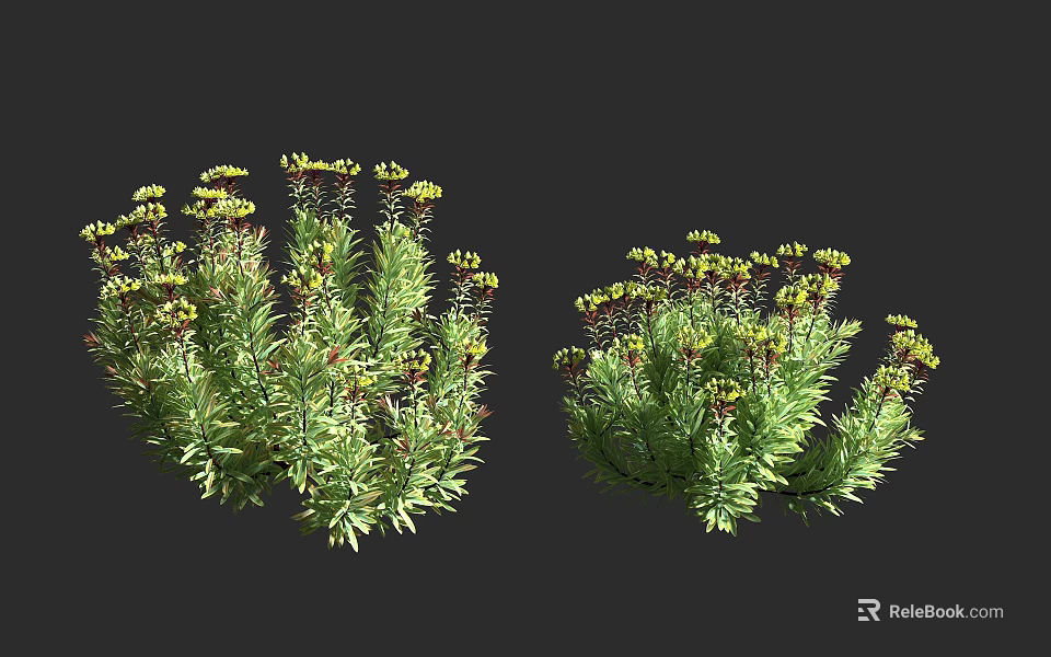 Two Vibrant Lush Shrubs With Green Foliage And Small Yellow Flowers 3d model 