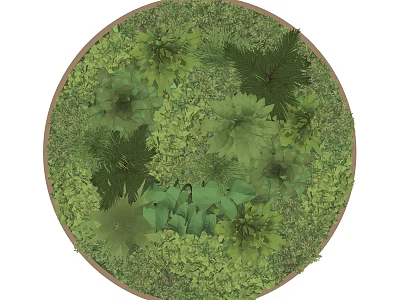 Circular Green Plant Wall Featuring Various Lush Green Plants and Natural Design 3d model