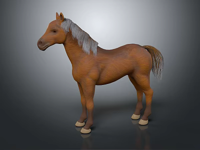 Brown Horse with Gray Mane Standing on Shiny Gray Background 3d model