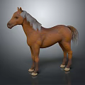 Brown Horse with Gray Mane Standing on Shiny Gray Background