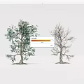 Dead Trees 3d model