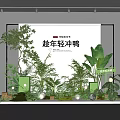 Store Window Display with Lush Green Plants White Backdrop and Decorative Lighting Elements 3d model