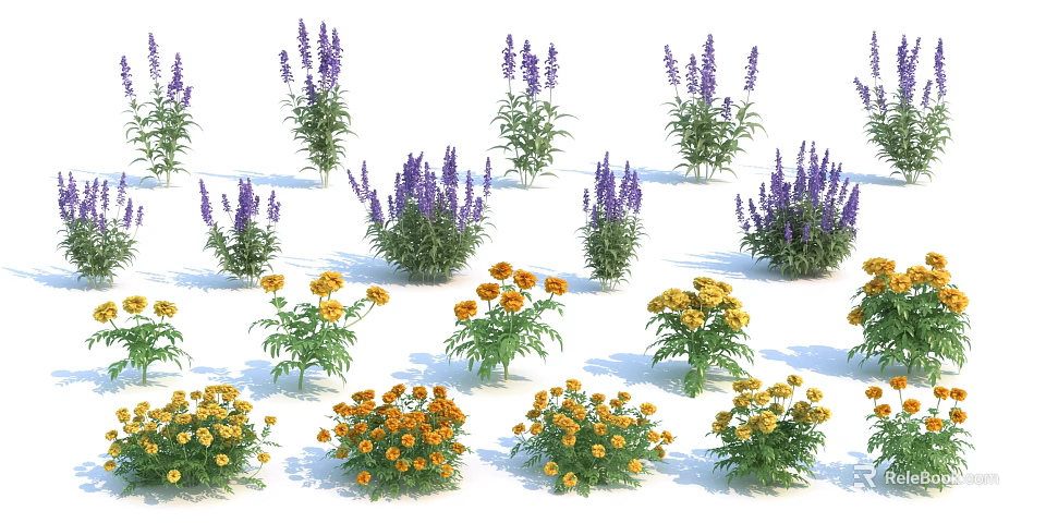 Vibrant Purple And Yellow Flowers With Green Leaves In Garden Arrangement 3d model 