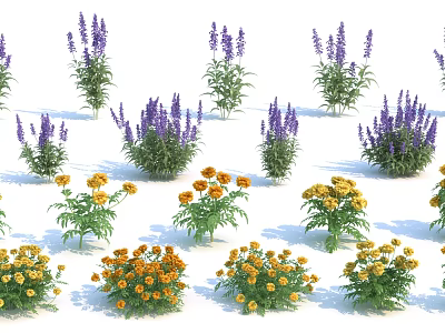Vibrant Purple And Yellow Flowers With Green Leaves In Garden Arrangement 3d model