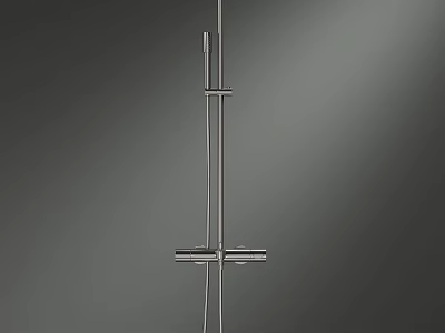 Modern Stainless Steel Shower Head With Adjustable Arm And Handheld Sprayer 3d model