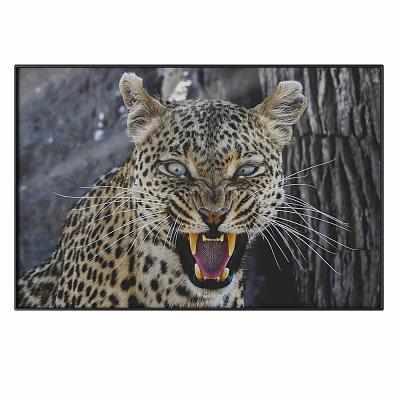 Close Up View Of Snarling Leopard With Sharp Teeth And Tree Trunk Background 3d model