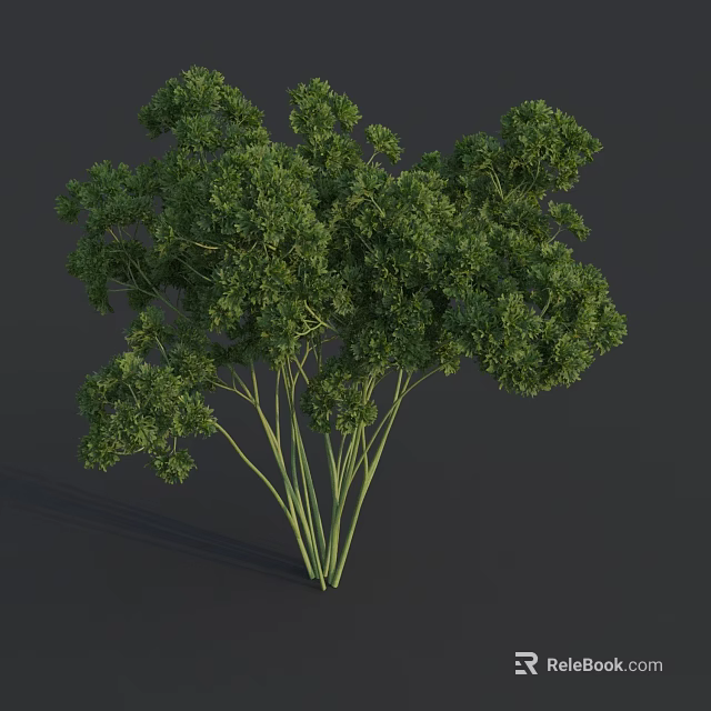 Fresh Parsley Bunch With Vibrant Green Leaves And Stems As Fresh Vegetable 3d model 
