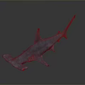 Realistic Hammerhead Shark 3D Model Showcasing Smooth Gray Surface And Lifelike Details