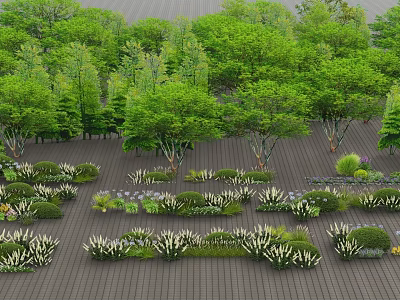 Diverse Garden Flowers And Green Plants With Various Shrubs On Wooden Deck 3d model