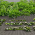 Diverse Garden Flowers And Green Plants With Various Shrubs On Wooden Deck