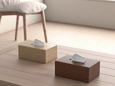 Two Different Colors Wooden Tissue Boxes On Wooden Table With Minimalist Design 3d model
