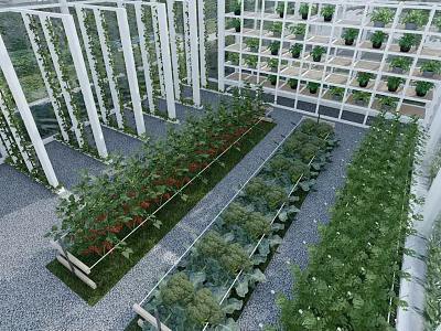 Courtyard Garden Featuring Lush Green Plants White Framed Structures And Stone Paved Pathways 3d model
