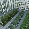 Courtyard Garden Featuring Lush Green Plants White Framed Structures And Stone Paved Pathways