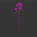Beautiful Plant With Several Pink Roses And Green Leaves On Gray Background