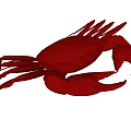 Aquatic Animal Red Crab Detailed 3D Rendering Isolated On Gray Background