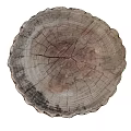 Stone Wood Stumps With Natural Bark Texture For Rustic Home Decoration