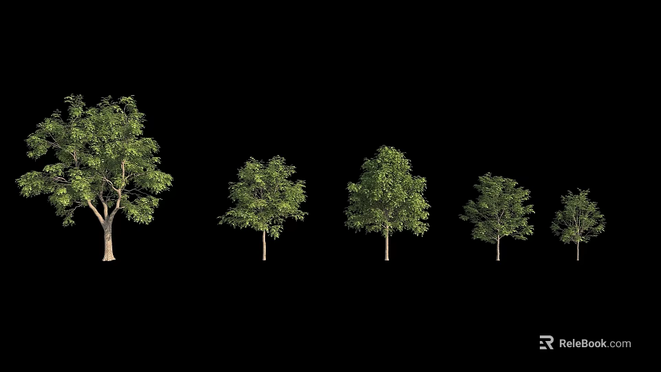 Arbor Trees With Various Sizes And Lush Green Foliage Arranged In A Row 3d model 