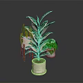 Indoor Green Plants With Variegated Leaves In Beige Ceramic Pot And Small Potted Decorations