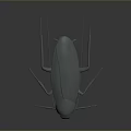 Gray Cockroach 3D Model with Long Antennae and Legs on Dark Background Showing Reflection