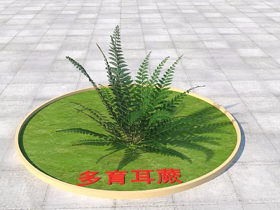 Lush Shrub Growing On Circular Lawn With Green Ferns And Stone Pavement 3d model