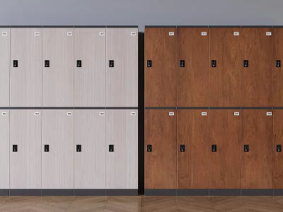 Modern Wooden Lockers In Double Row With Light And Dark Wood Finish Design 3d model