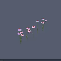 Beautiful Purple And Pink Flowers With Dark Centers Green Stems And Leaves